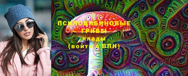 гидропоника Ладушкин