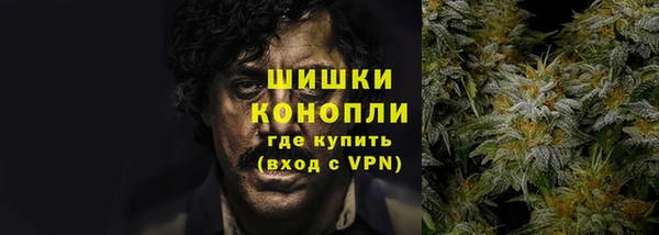 сатива Лагань