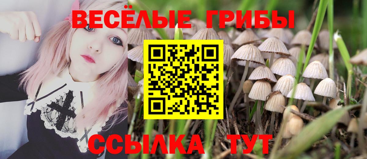 Лангепас  Псилоцибиновые грибы MAGIC MUSHROOMS  Псилоцибиновые грибы Cubensis  Вход с VPN 
