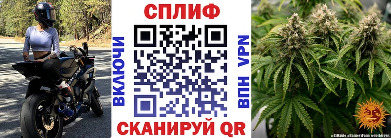 где купить наркоту Лангепас Каннабис White Widow